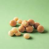 ROYCE Macadamia Gianduja Chocolate