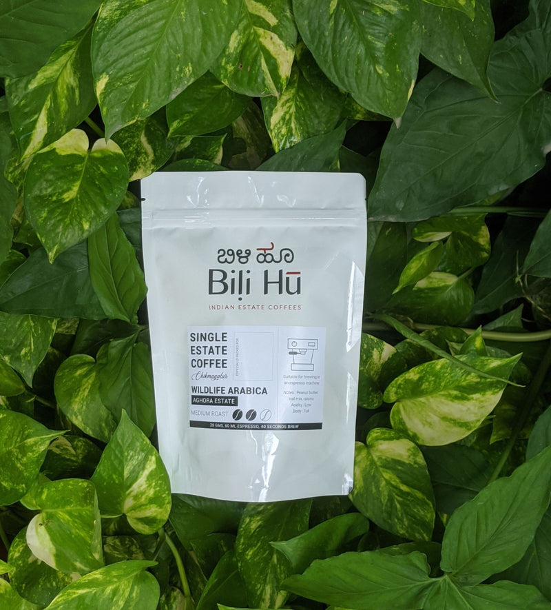 Bili Hu Wildlif Arabica Coffee